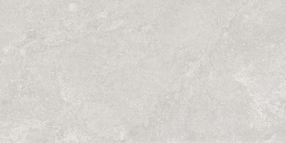 Ashcombe Greige Porcelain Wall & Floor Tile PTV36 300X600mm
